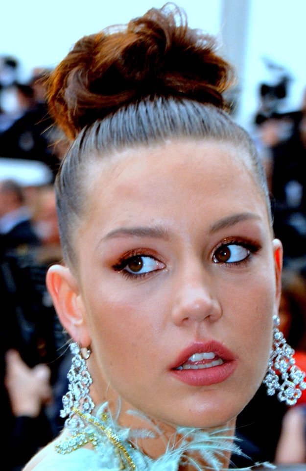 search image 2 Adèle Exarchopoulos 2