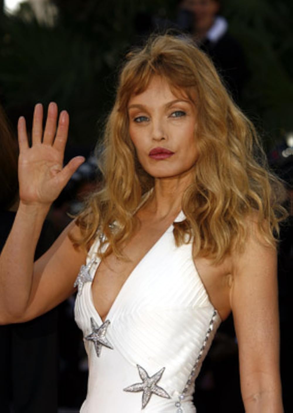 search image 2 Arielle Dombasle 2