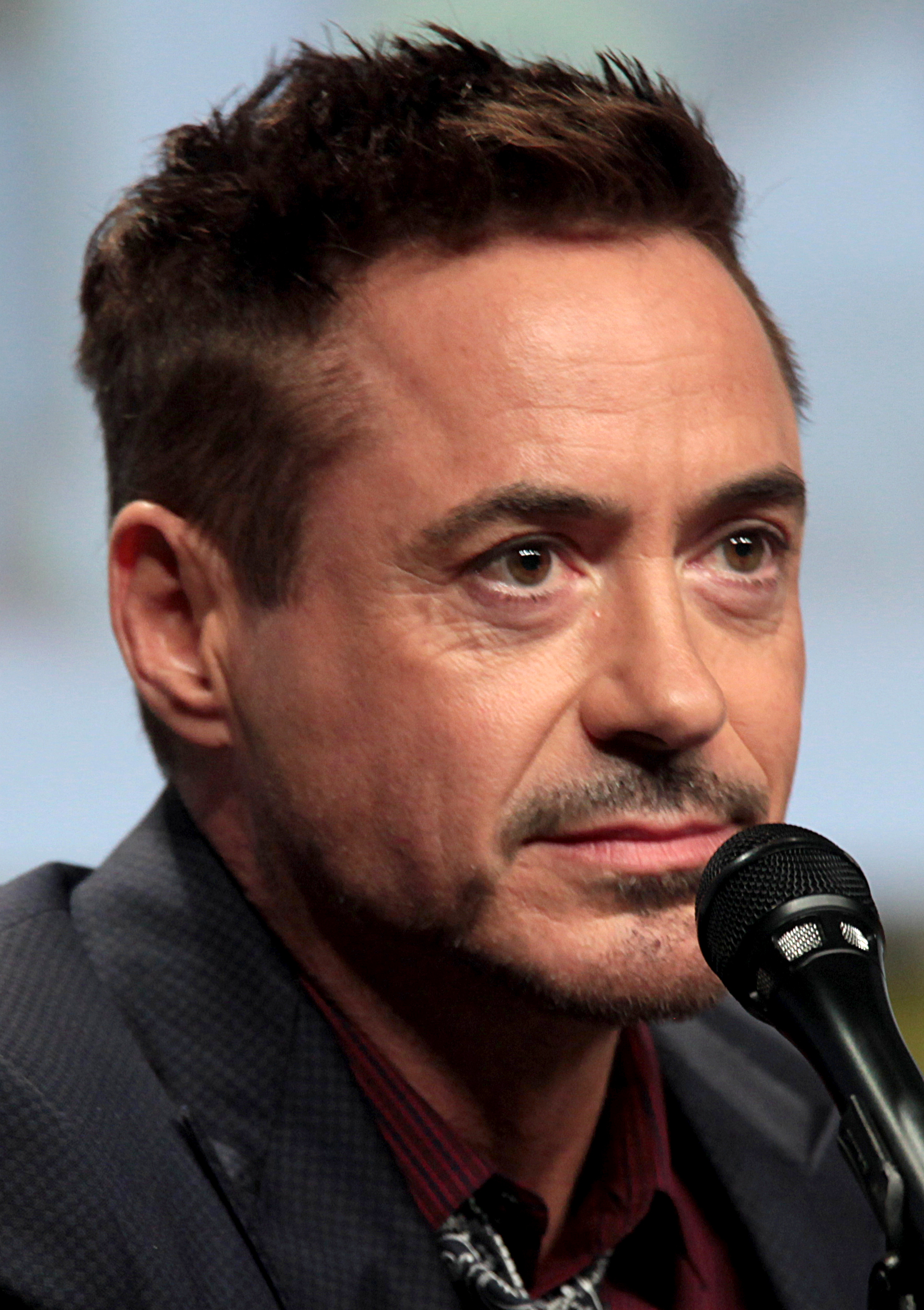 Robert Downey Junior - scrap_google_ccl