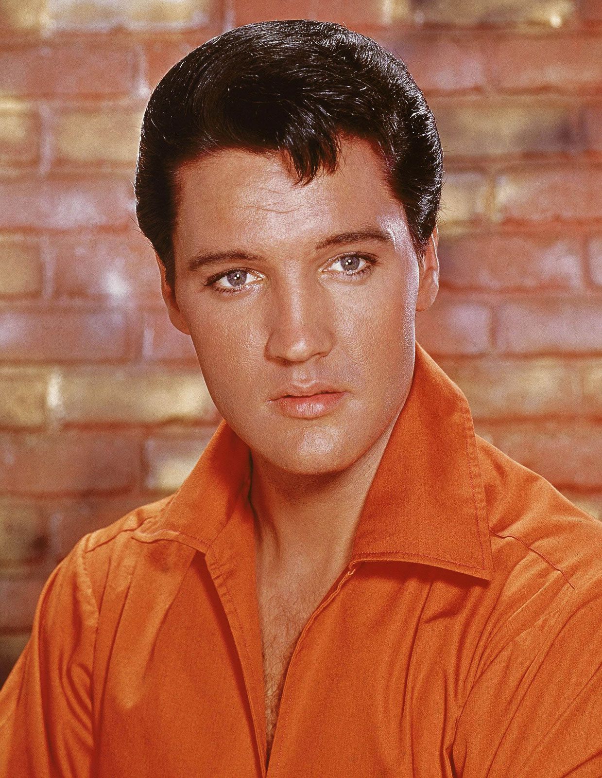 search image 2 Elvis Presley 2